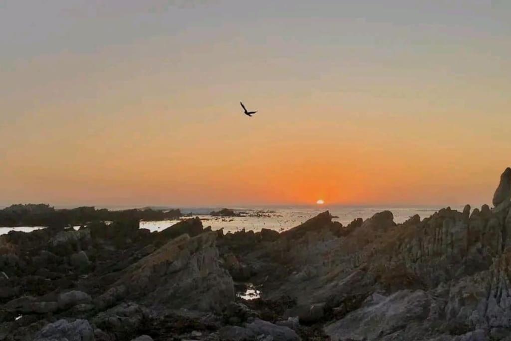 Hermanus Sea View Room Exteriér fotografie